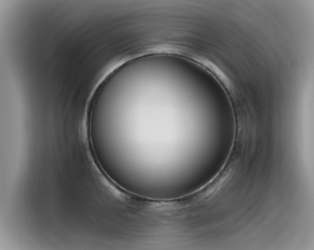 X0000115540902200911131542