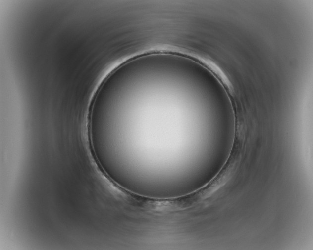 X0000115540903200911131542