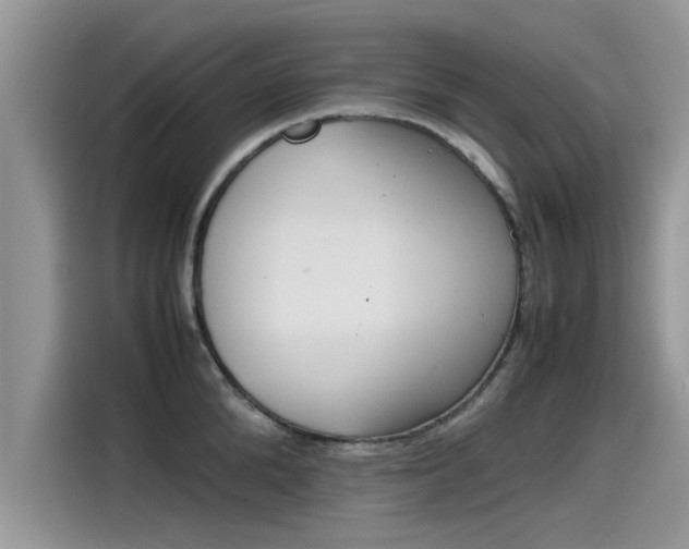 X0000115540904200911131542