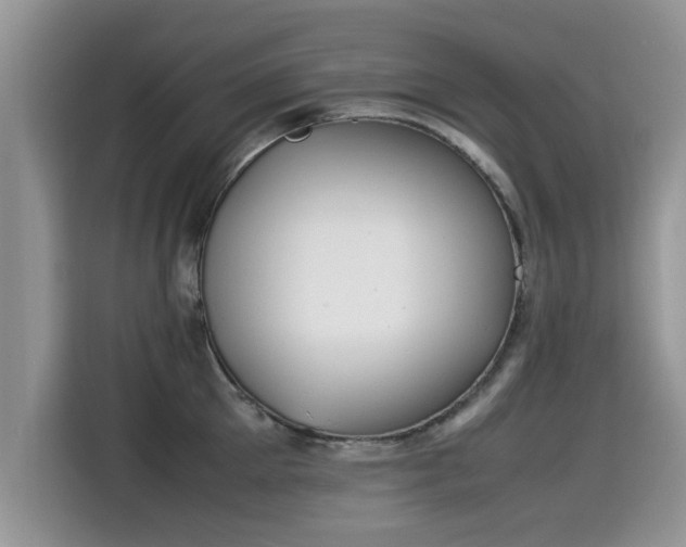 X0000115540905200911131542