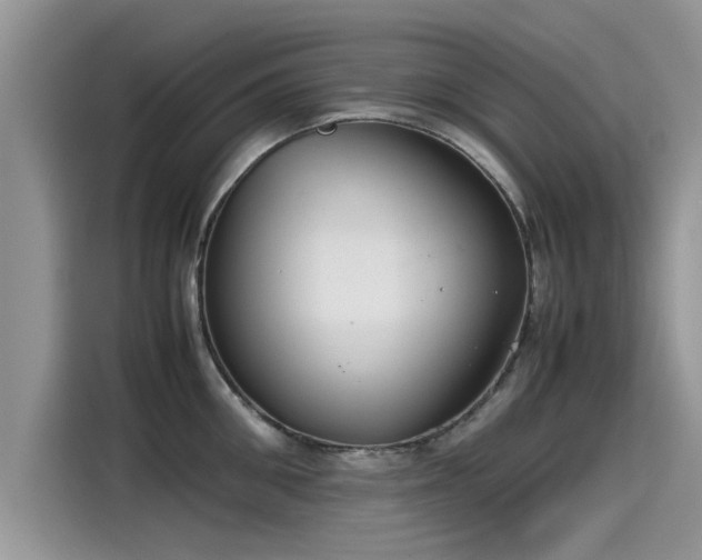 X0000115540906200911131542