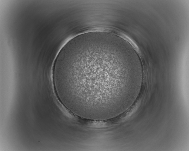 X0000115540907200911131542