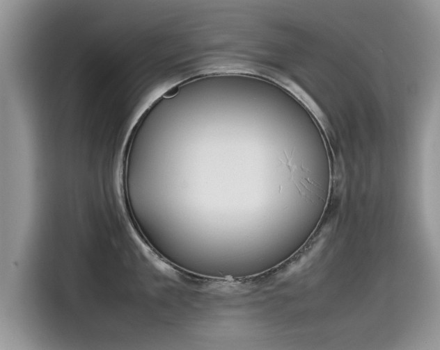 X0000115540909200911131541