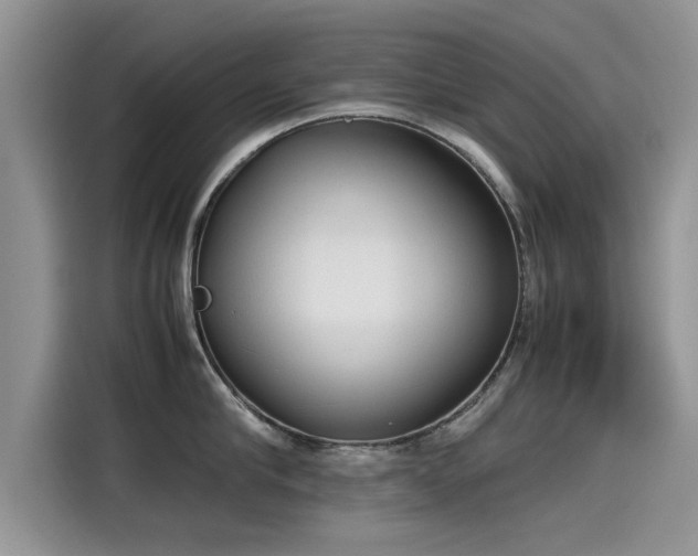 X0000115540910200911131541