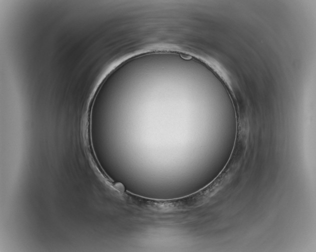 X0000115540911200911131541