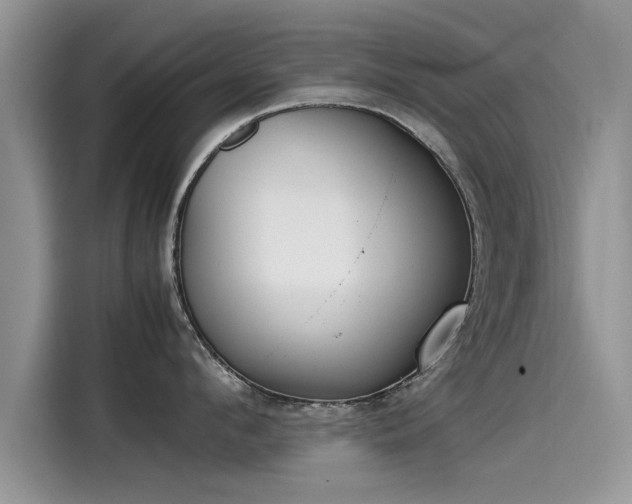 X0000115540912200911131541