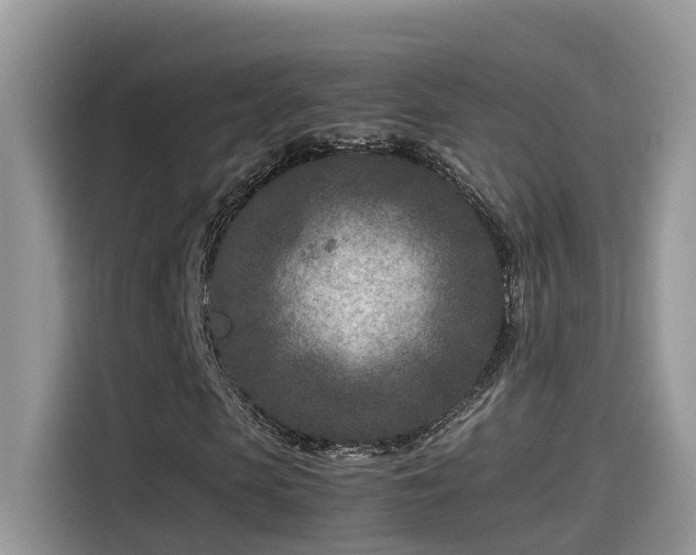 X0000115540913200911131541