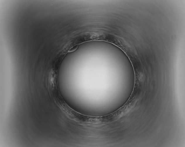 X0000115540914200911131541