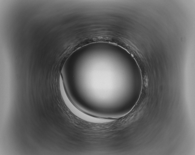 X0000115540915200911131541