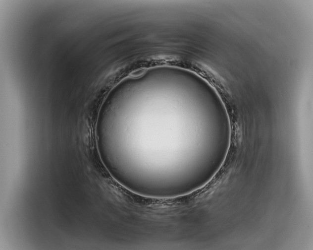 X0000115540917200911131541