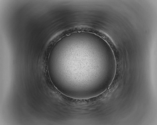 X0000115540919200911131541