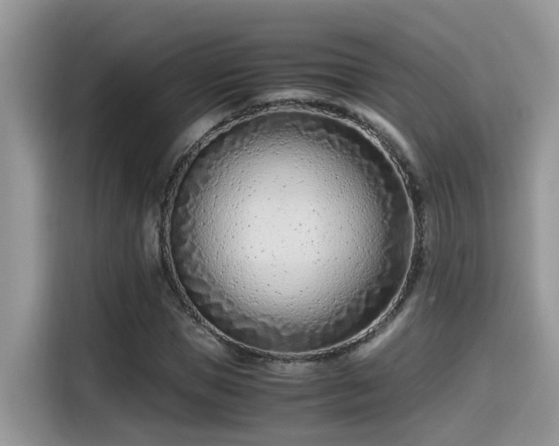 X0000115540921200911131541