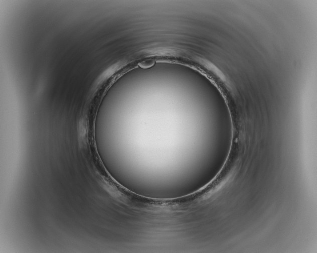 X0000115540922200911131541