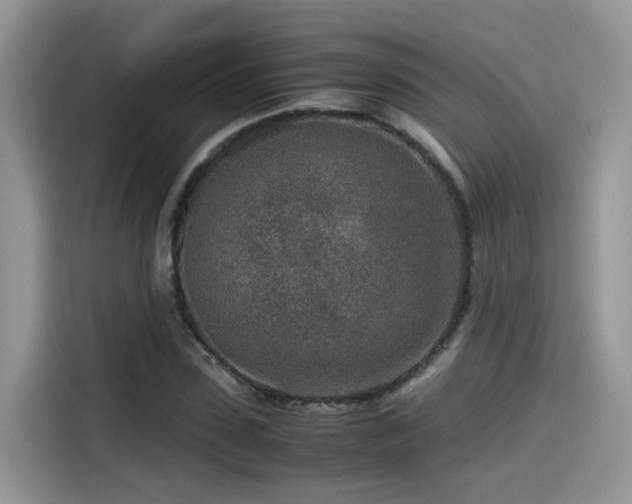 X0000115540923200911131541