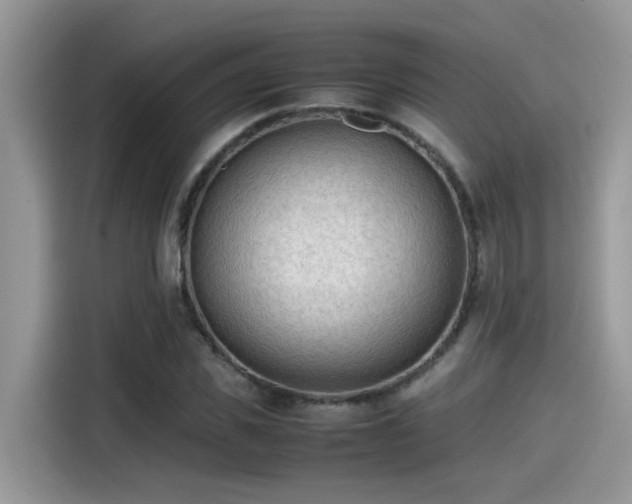 X0000115540925200911131541