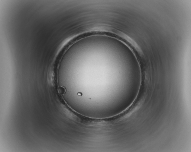 X0000115540926200911131541