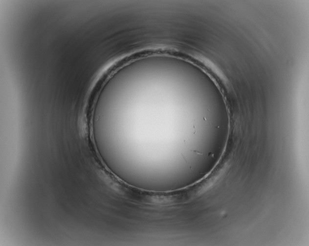 X0000115540927200911131541