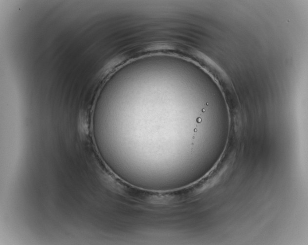 X0000115540929200911131541