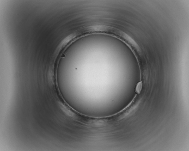 X0000115540930200911131541