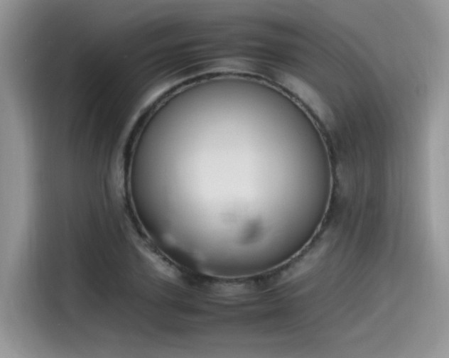 X0000115540931200911131541