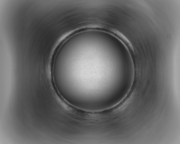 X0000115540935200911131541