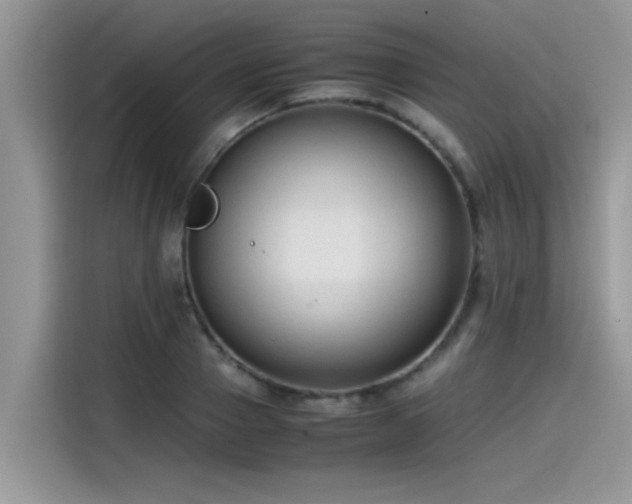 X0000115540937200911131541