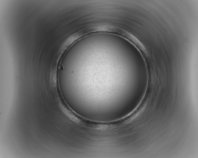 X0000115540938200911131541