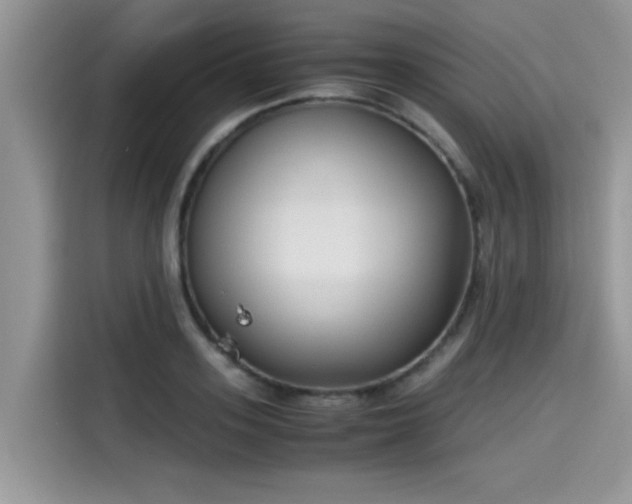 X0000115540939200911131541