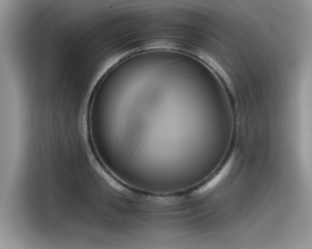 X0000115540941200911131541