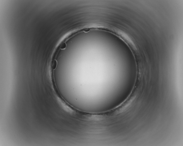 X0000115540942200911131541