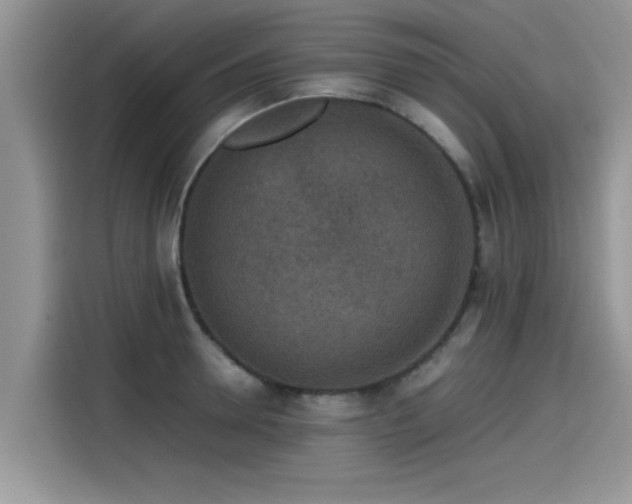 X0000115540946200911131541