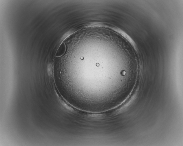 X0000115540953200911131541