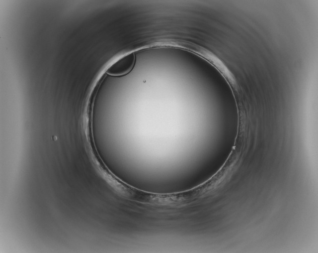 X0000115540955200911131541