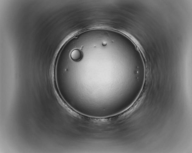 X0000115540957200911131541