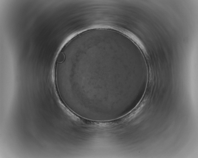 X0000115540958200911131541