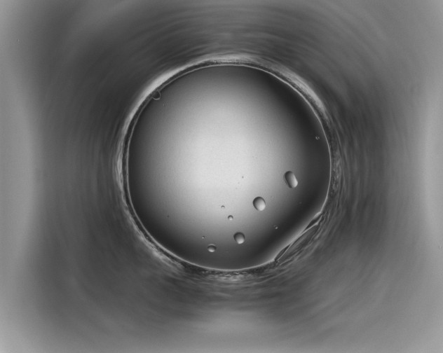 X0000115540959200911131541