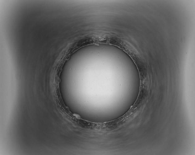 X0000115540961200911131541