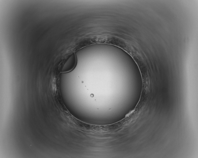 X0000115540962200911131541