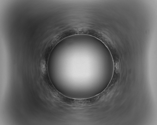 X0000115540963200911131541