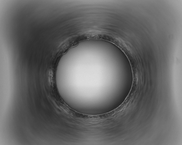 X0000115540964200911131541