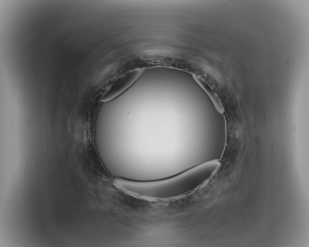 X0000115540965200911131541