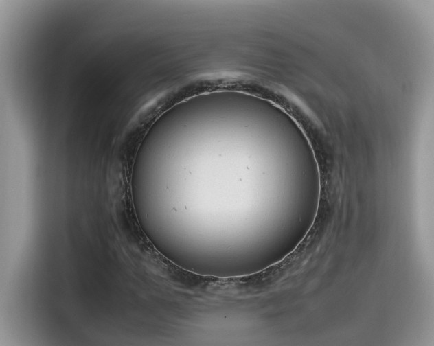 X0000115540967200911131541