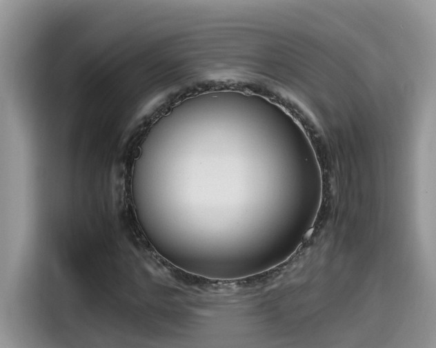 X0000115540968200911131541