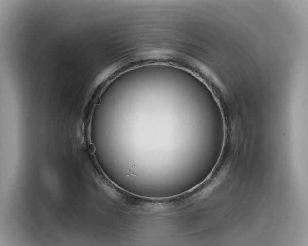 X0000115540970200911131541