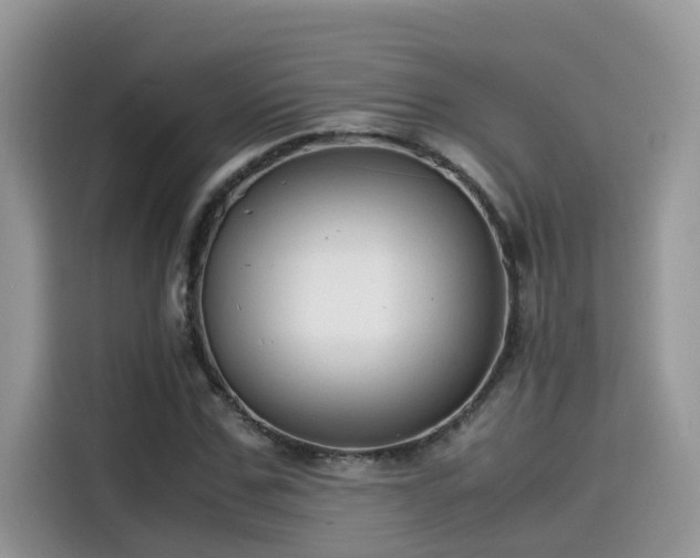 X0000115540971200911131541