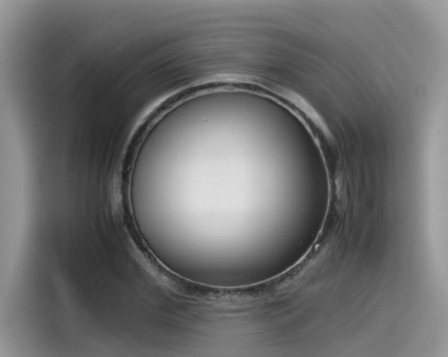 X0000115540972200911131541