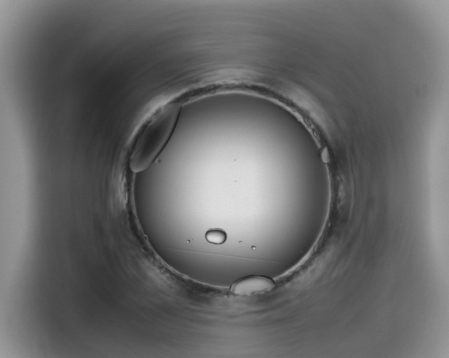 X0000115540973200911131541