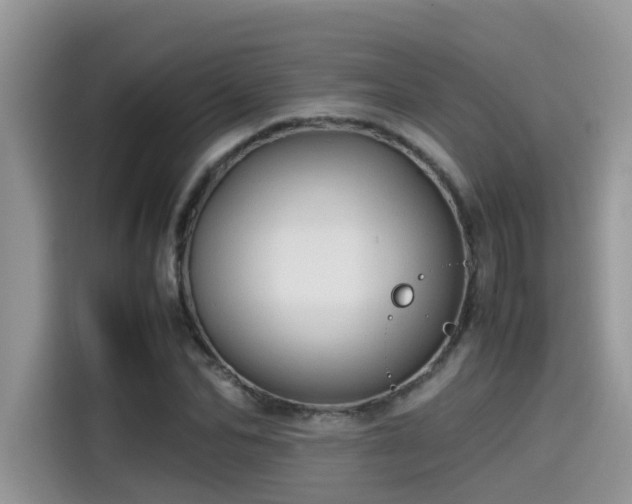 X0000115540974200911131541