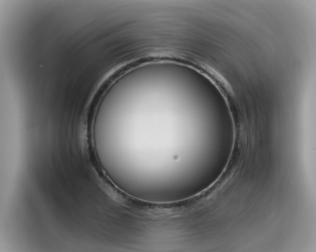 X0000115540976200911131541