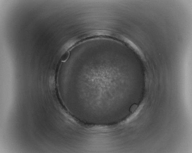 X0000115540977200911131541